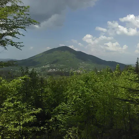 Деревянный коттедж Dobra V Dobre