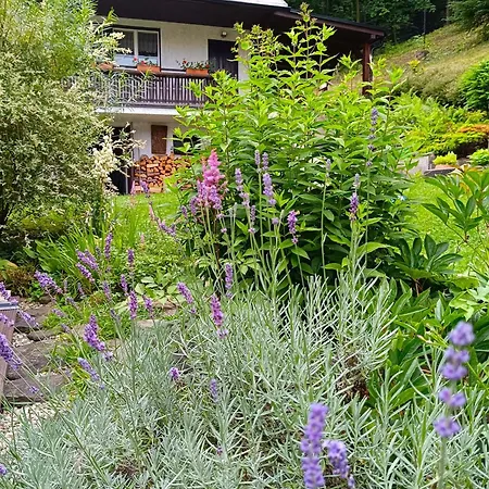 Dobra V Dobre Деревянный коттедж *